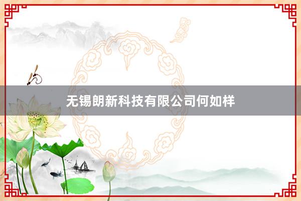 无锡朗新科技有限公司何如样