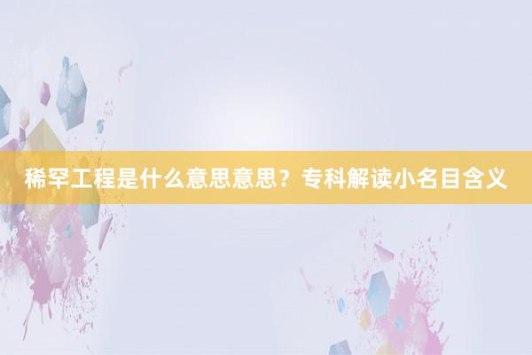 稀罕工程是什么意思意思？专科解读小名目含义