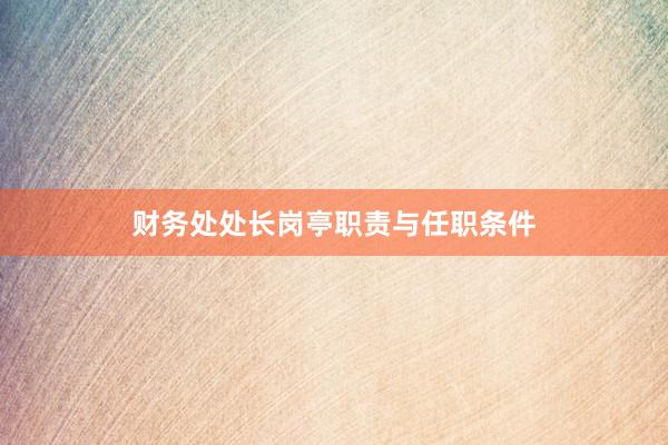 财务处处长岗亭职责与任职条件