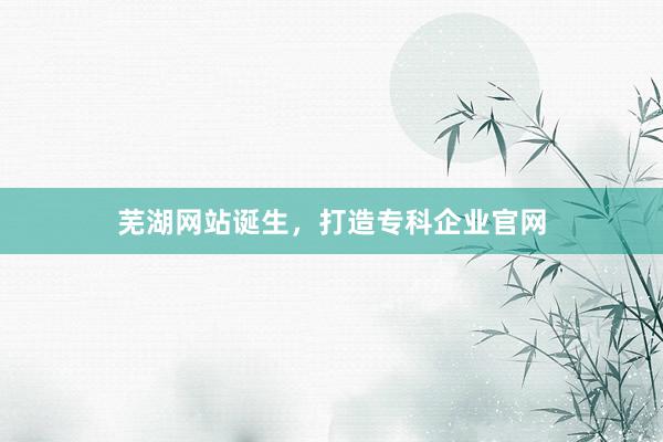 芜湖网站诞生，打造专科企业官网