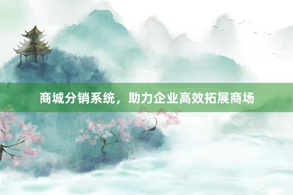 商城分销系统，助力企业高效拓展商场