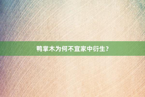 鸭掌木为何不宜家中衍生？