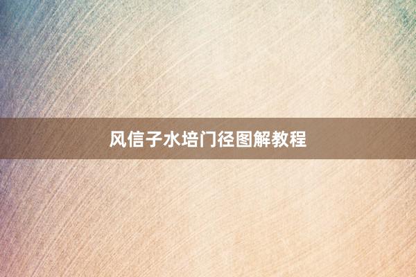风信子水培门径图解教程