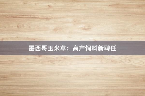 墨西哥玉米草：高产饲料新聘任